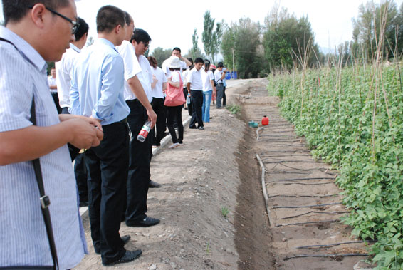 DSC_1378 首页 | 304am永利集团有限公司官网