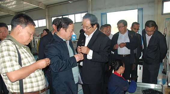 3 首页 | 304am永利集团有限公司官网