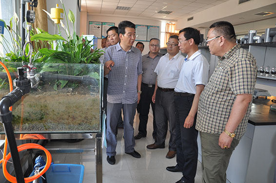 6 首页 | 304am永利集团有限公司官网