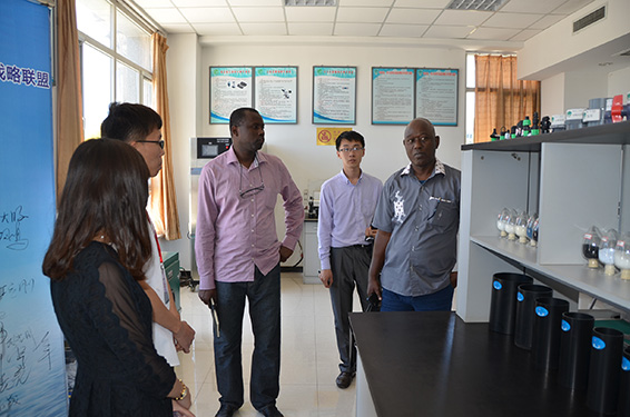 5 首页 | 304am永利集团有限公司官网