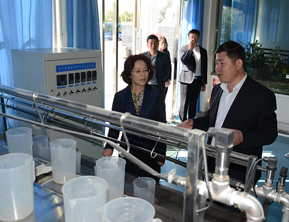 8 首页 | 304am永利集团有限公司官网