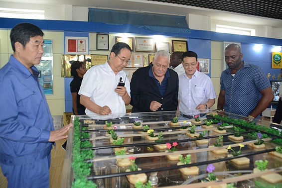 20160721173030800003 20160721173030800003