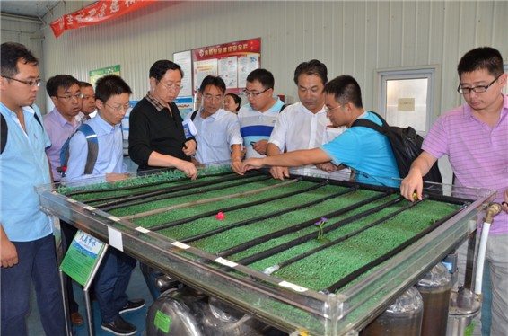 20160911211918429012