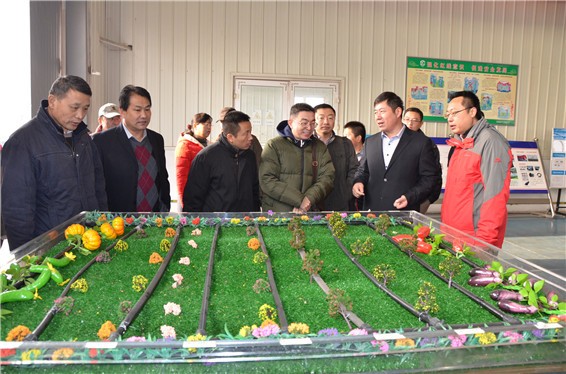 20161126171443668001 20161126171443668001