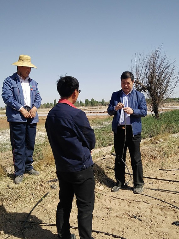 20170505161936147001