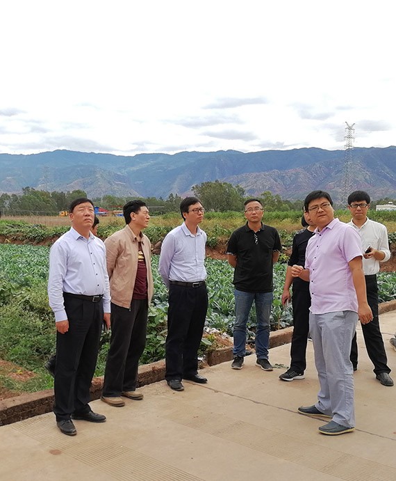 20171104095307767002 20171104095307767002