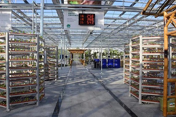 20180522214906831003 20180522214906831003