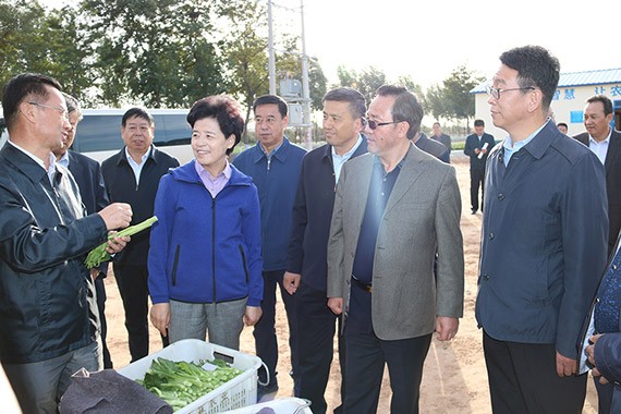 20181009135700768001