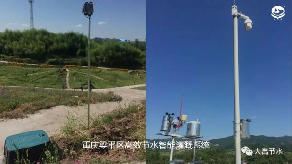 20190617090247933012_s