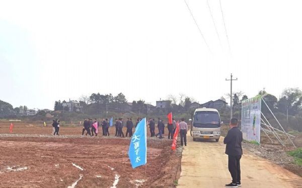 20210318091902389002_s