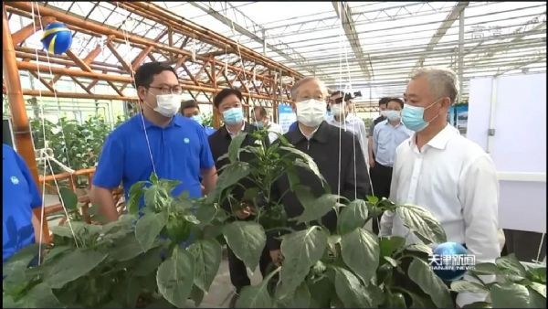 20210609110143994002_s