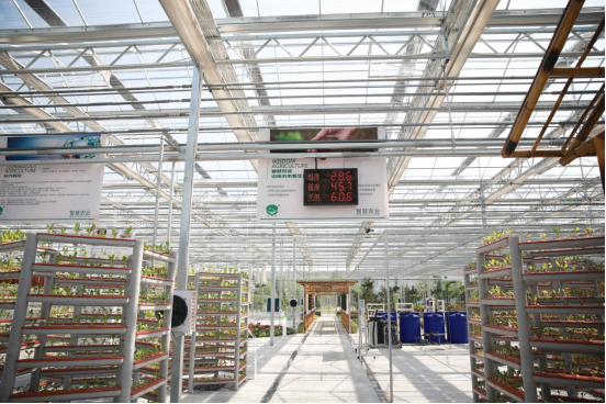 20230117154811315006 20230117154811315006