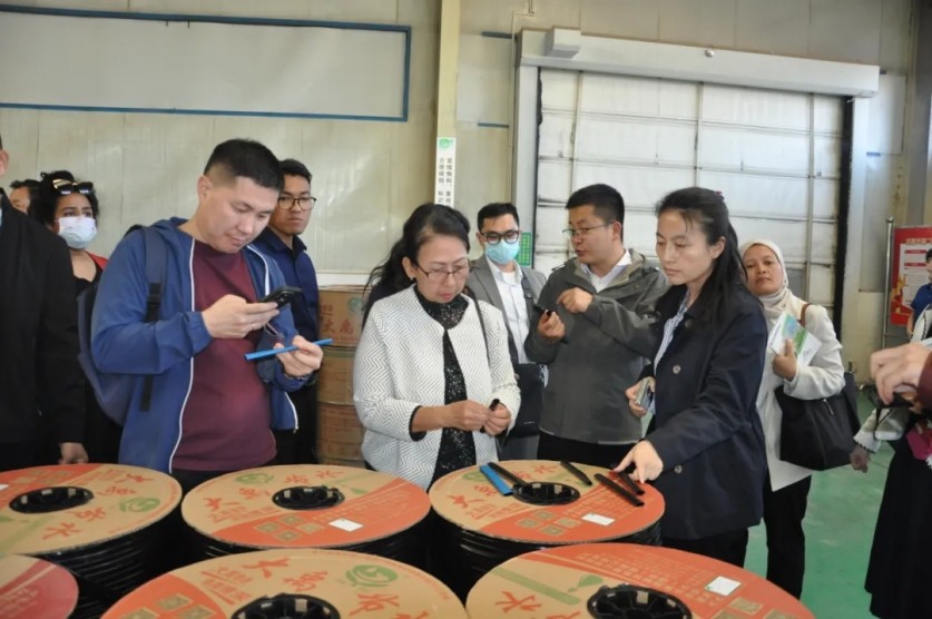 20240508165410225003