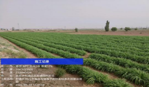 20240606162314518002