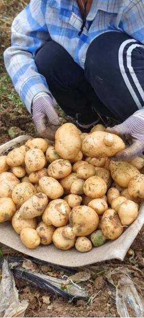 20240724104230880003