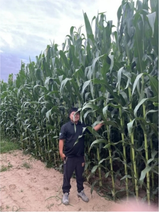 20240807093921662005