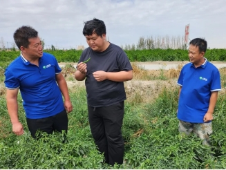 20240920142631702006