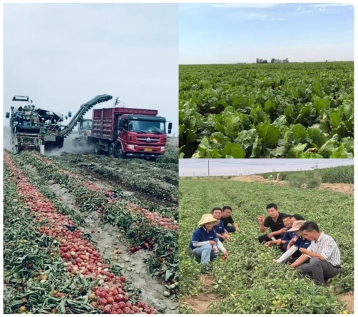 20240920142631956005