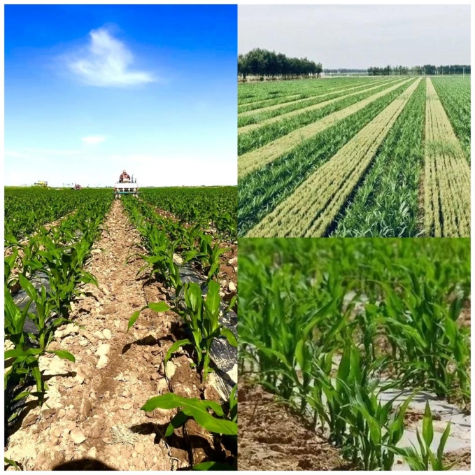 20240920142632992017