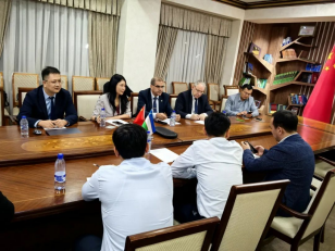 20241008110951688003 20241008110951688003