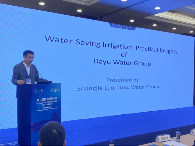 20241008114353463006