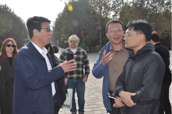 20241113141729917007