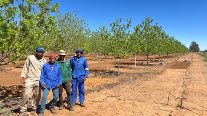 20241113142204245008 20241113142204245008