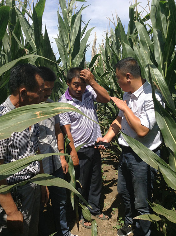 ��ҳ | 304am�����������޹�˾����