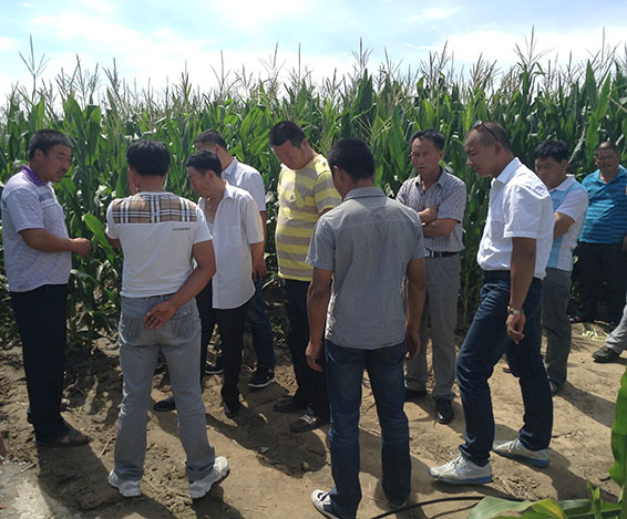 ��ҳ | 304am�����������޹�˾����