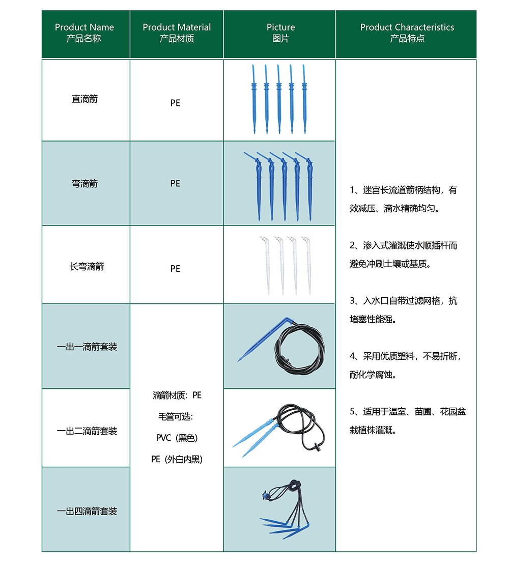 20241118155219_527829