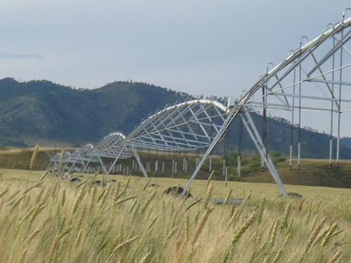 20241118155329_990411