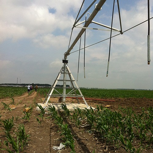 20241118155330_372440