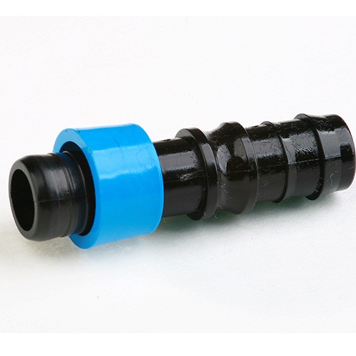 20241118155443_697402