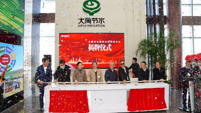 202411191732005394242849