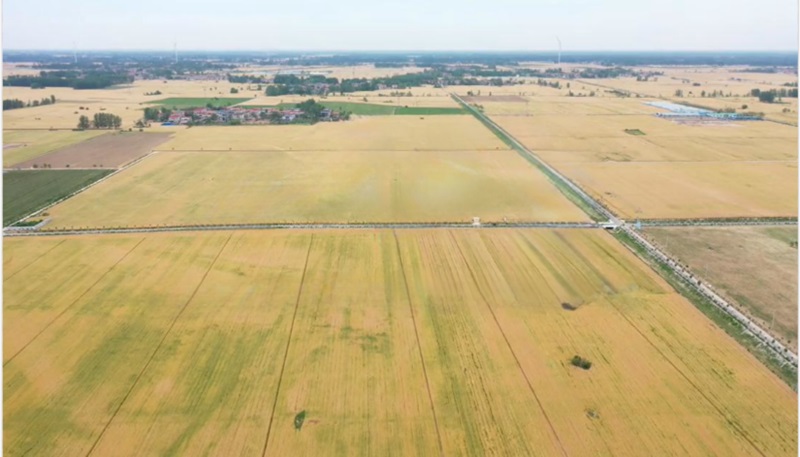 20241119174005_285528 20241119174005_285528