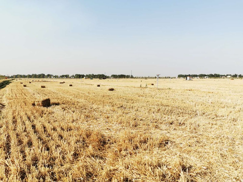 20241119174005_788879