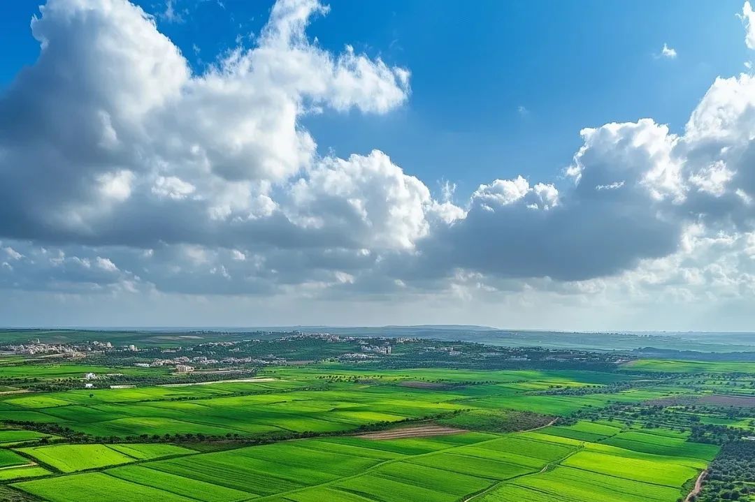 202412041733300933781478