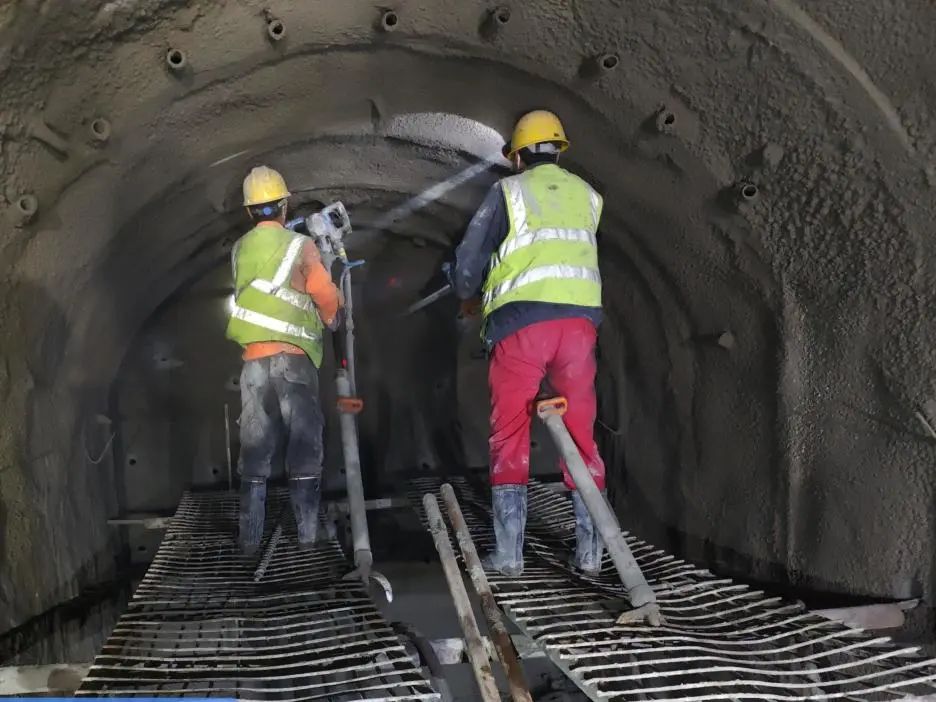 202412061733451238328464 202412061733451238328464