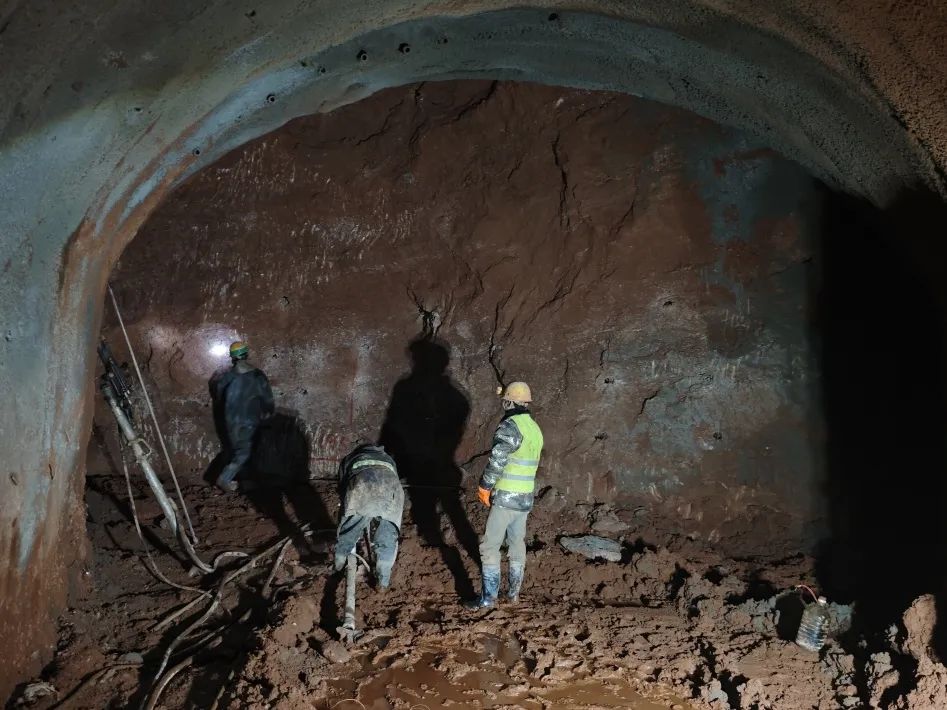 202412061733451238732745 202412061733451238732745