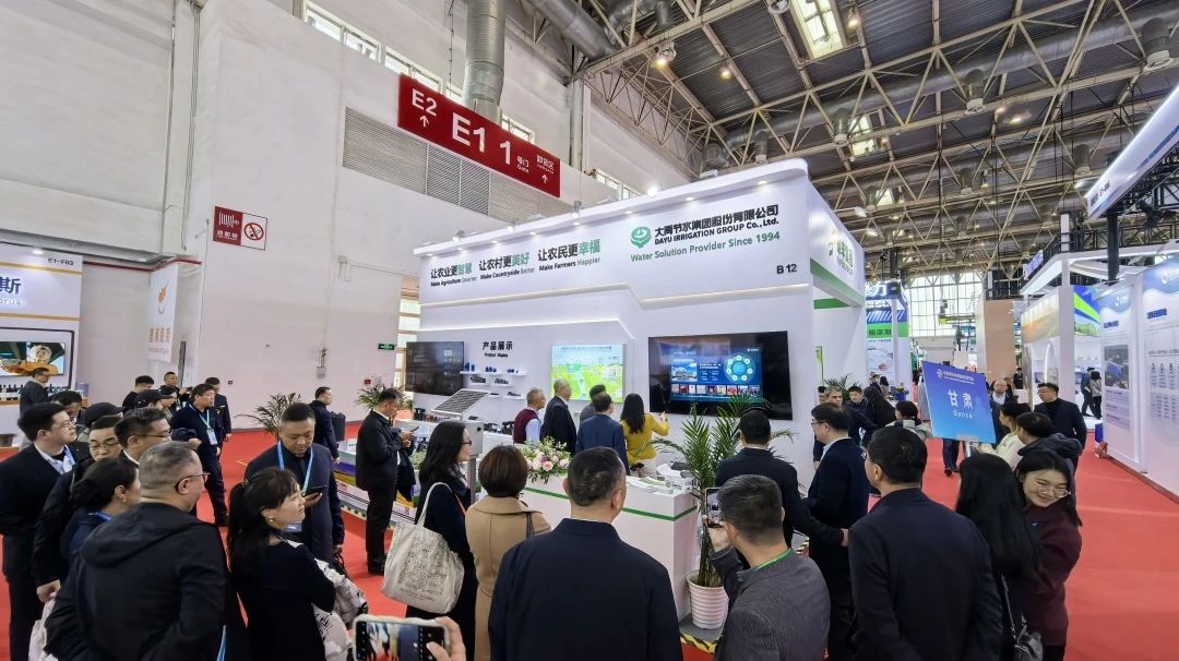 202412061733452910354600