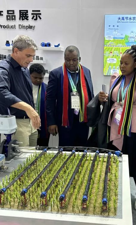 202412061733453072130971