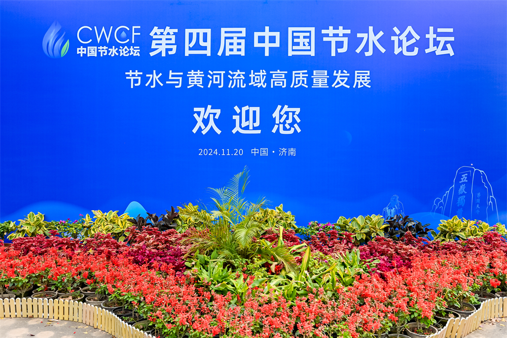 202502131739436655695182 202502131739436655695182