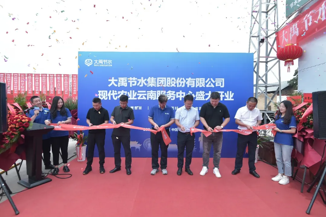 202503111741665481596781