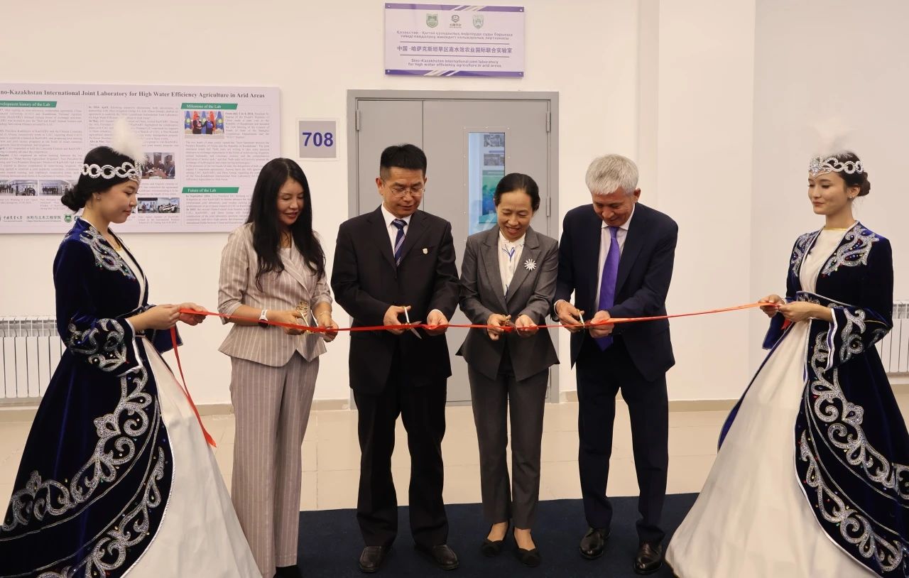 202503111741665554743418