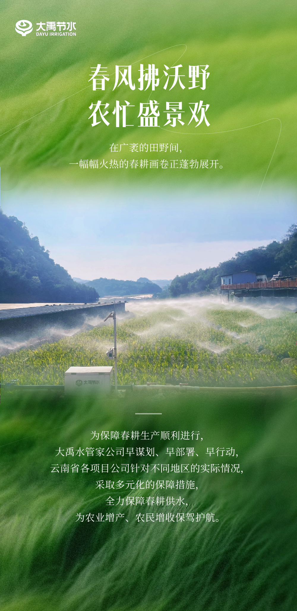 202503201742436865317759