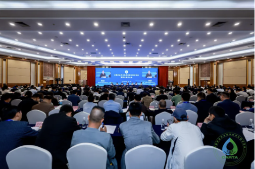 202601191768815801644177