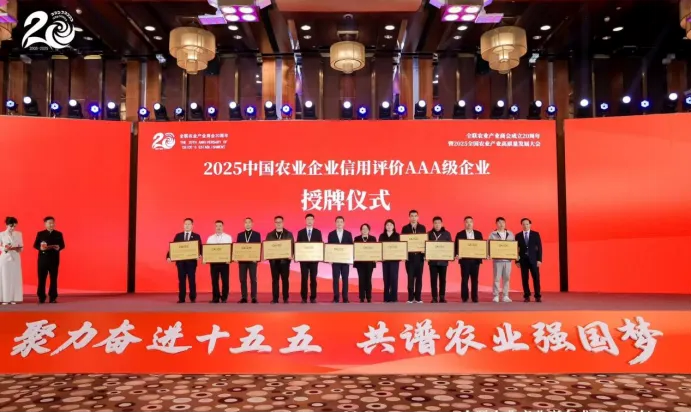 202602041770198602429125