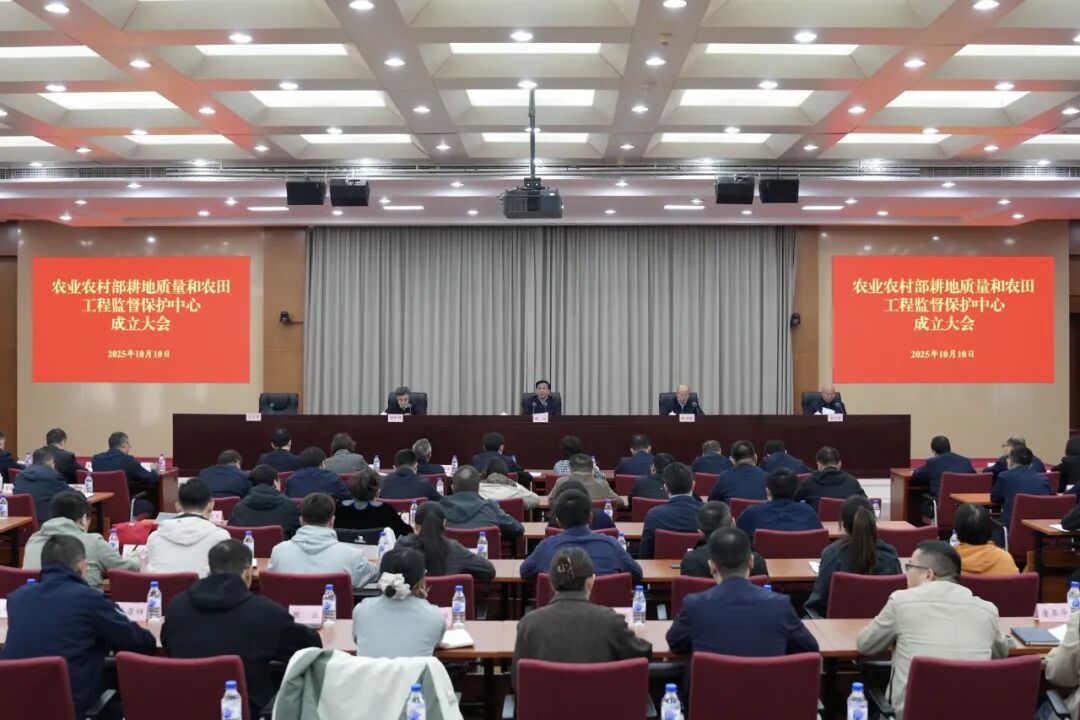 202603181773802945527949