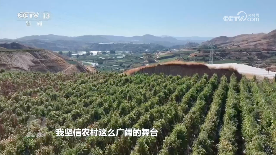 202603181773820925881741