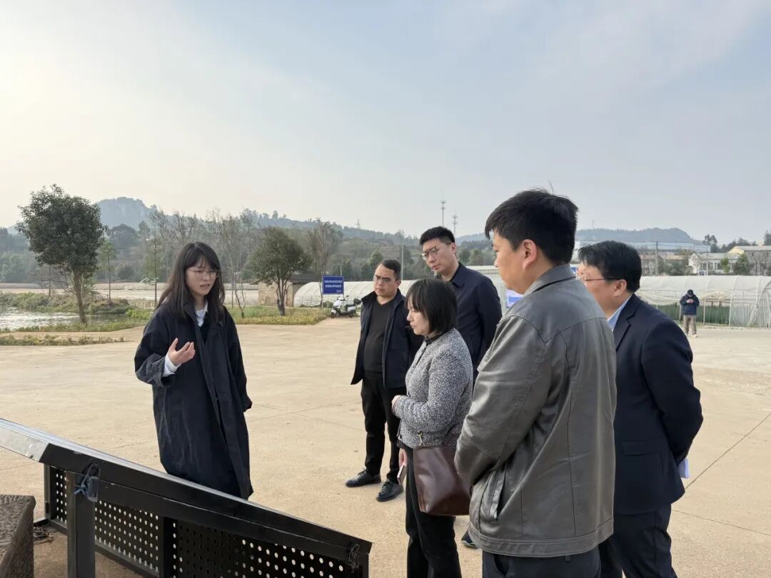 202603191773885145264445 202603191773885145264445